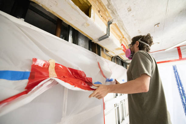 Best Mold Removal for HVAC Installations  in Royston, GA