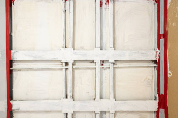 Best Basement Mold Removal  in Royston, GA