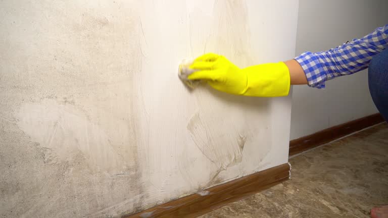 Best Emergency Mold Remediation  in Royston, GA