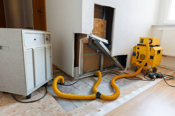 Best Post-Construction Mold Inspection  in Royston, GA