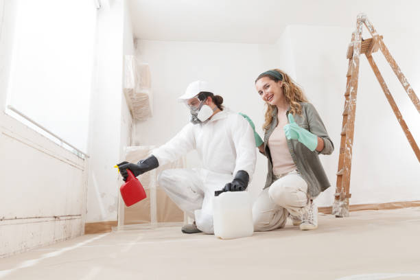 Mold Removal for HVAC Installations in Royston, GA
