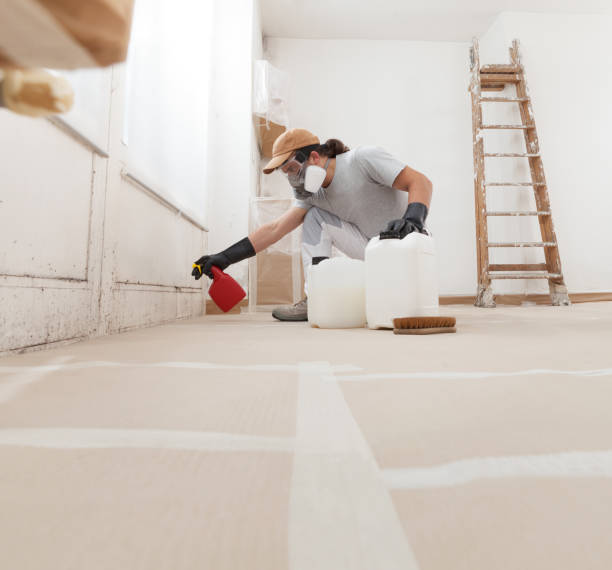 Best Biohazard Mold Removal  in Royston, GA
